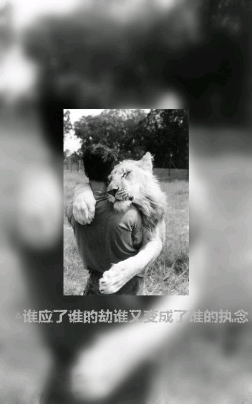 红楼梦名句名段加赏析