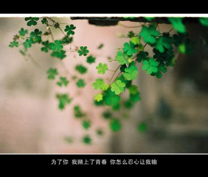 拟人句20字以上[24条] (拟人句可以出现像字吗)