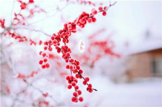 幼儿园教师节贺卡内容[48句] (幼儿园贺卡制作图片)