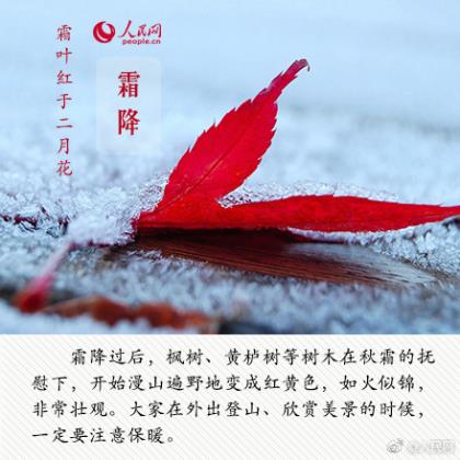 有关交友的名言警句(良友不忘尽其义务…)