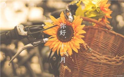 端午节节日祝福短信[48句] (端午节送长辈祝福语)