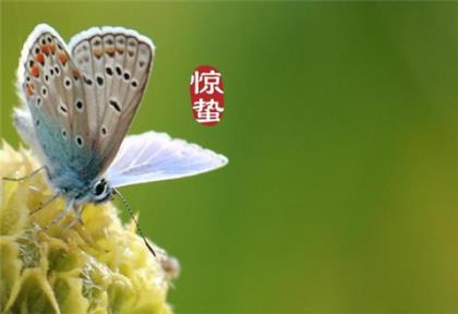 中秋节感谢公司的话语简短[30句] (中秋祝福语简短幽默)