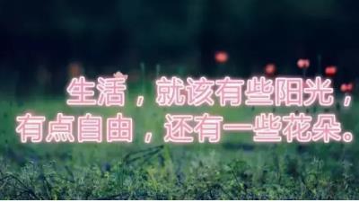 表达浪漫爱情的句子(最美最浪漫的爱情句子)