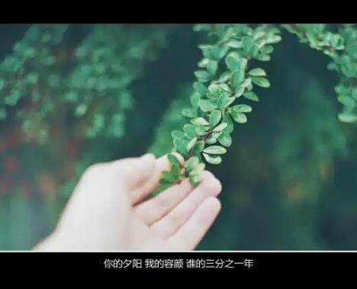 你的孤独虽败犹荣经典段落（谁的青春不迷茫刘同经典语录）