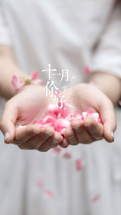 送客户鲜花祝福语(四季的风吹动岁月的风铃…)