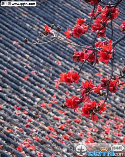 中秋节祝福语手抄报 中秋祝福语10字(72条)