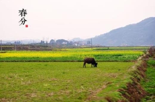 英文押韵班级口号(班训大全8个字霸气)